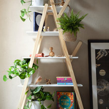 plant ideas