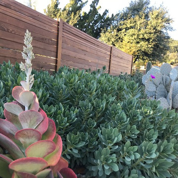Contemporary Rancher Landscaping Update