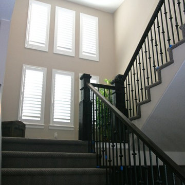 Blinds, Shades , and Shutters