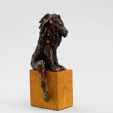 Lion 1