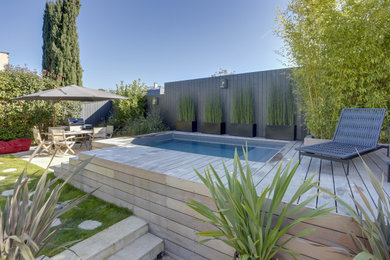 Aménagement d'un petit piscine avec aménagement paysager avant contemporain rectangle avec une terrasse en bois.