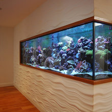 Aquarium