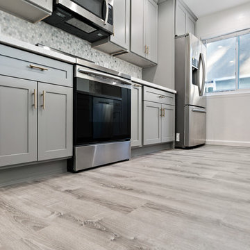 Full House Remodel Fremont JV