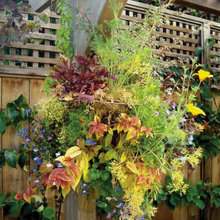 LANDSCAPE IDEAS