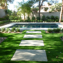 Landscape Ideas