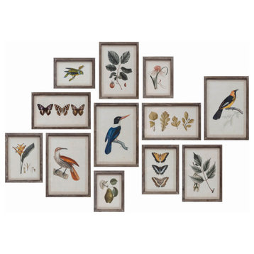 Wood Framed Glass Wall Decor With Insects, Birds, Plants and Fruit, 12-Piece Set