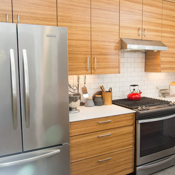 Modern Zebrawood Cottage Kitchen
