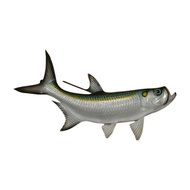Marlin Replica Nautical Saltwater Fishing Wall Decor Beach Style