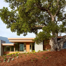 Exterior Ideas