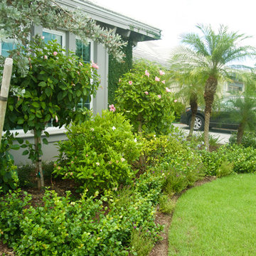 Tropical Landscape Full & Unique