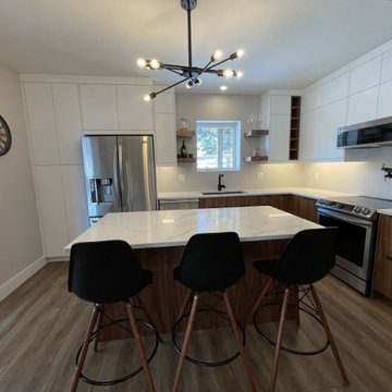 Previous Kitchen Renovations