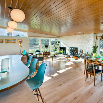 Mid-Century Living Area