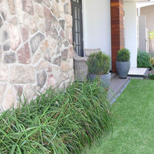 front garden