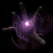 Mark Niebauer's photo