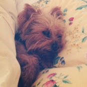 Fallon Elizabeths foto