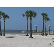 Kathy Moore's photo