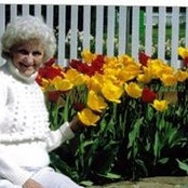 Donna Schotts billede