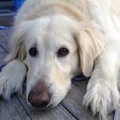 Audree Gagnon's photo