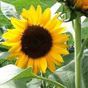 Janice Haney's photo