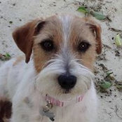 Manuela Maviglio's photo