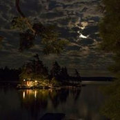 Carol Viner's photo