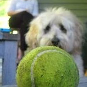 Lisa Underkoffler's photo
