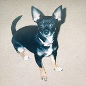 Kim Reimold's photo