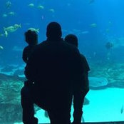 Brandon Lewis's photo
