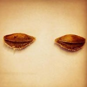 Yaroslav Orlov's photo