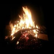 Angie Orchard's photo