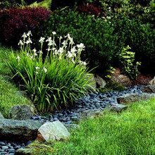 Farmhouse Landscape/Hardscape