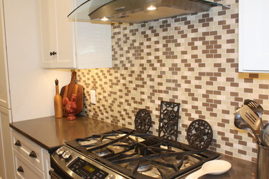 Example of a transitional kitchen design in St Louis