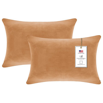 A1HC Soft Velvet Pillow Covers, YKK Zipper, Set of 2, Brown Derby, 12"x20"