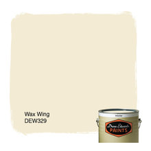 Paint