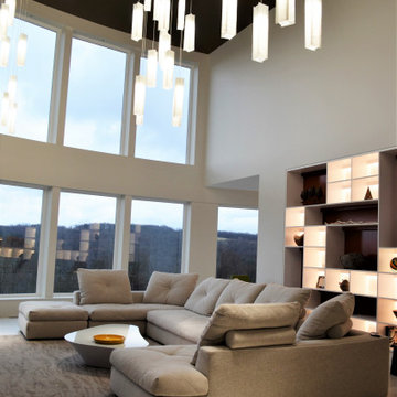 Minimalist Design - New Construction