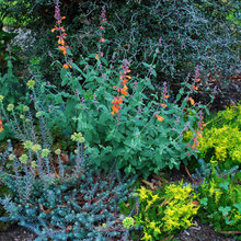 planting strip