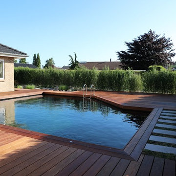 Naturpool - det biologiske alternativ til swimmingpoolen