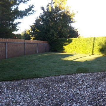 Re-Sodding After Pictures 2013