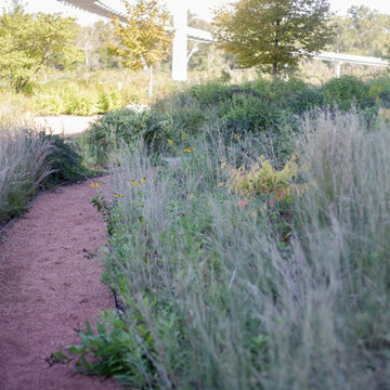 Bring Nature Near: National Park Service