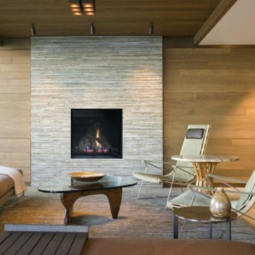 DV2500 Indoor Fireplaces