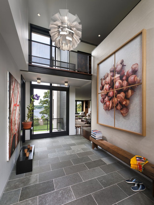 22,465 Modern Entryway Design Ideas & Remodel Pictures Houzz