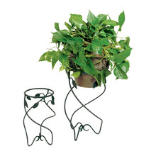 For Plants