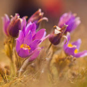 Lorena Martinez's photo