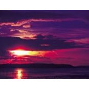 Ann Brackens foto