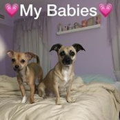 Barb Dawsons foto
