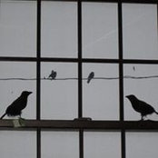 Brenda Sharp's photo