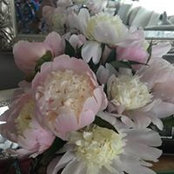 Renee Walde's photo