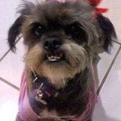 Roxie Anne Websters foto