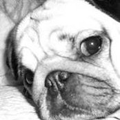 Tammy Adolf's photo