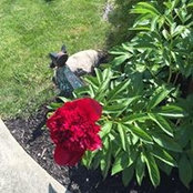 Linda Miner's photo
